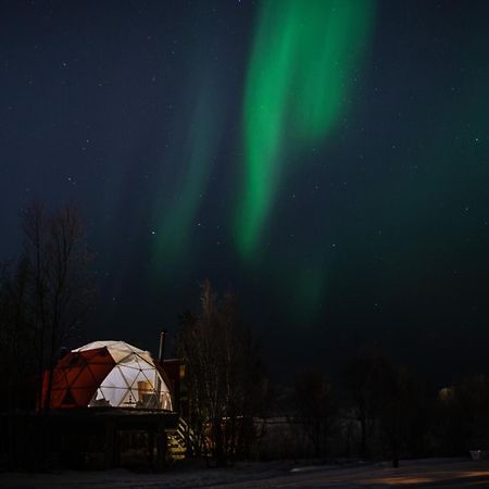 Aera - Glass Cabins Тромсьо Екстериор снимка