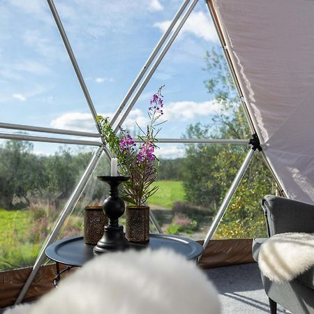 Aera - Glass Cabins Тромсьо Екстериор снимка